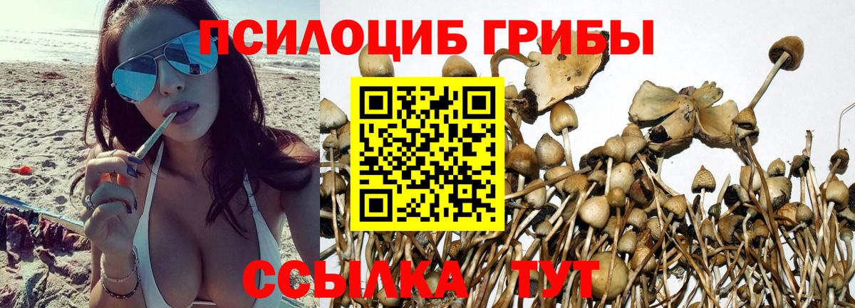 Галлюциногенные грибы MAGIC MUSHROOMS  Вход с VPN  Галлюциногенные грибы GOLDEN TEACHER  Строитель 